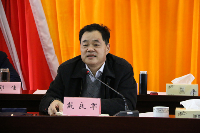 集團(tuán)黨委委員、副總經(jīng)理、總工程師戴良軍發(fā)表講話